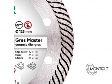 125MM DISTAR GRES MASTER Deimantinis diskas akmens masei 1